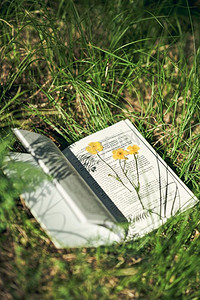 在青草上打开书页。在户外看书