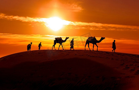 日落时分的骆驼，骆驼司机。在日落的塔尔沙漠Jaisalmer，拉贾斯坦邦，印度。