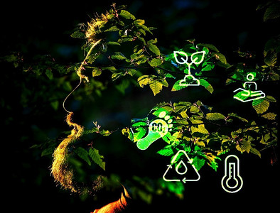 绿色森林背景下的ESG符号环境社会治理