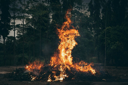 室外燃烧的大火，森林背景的大火