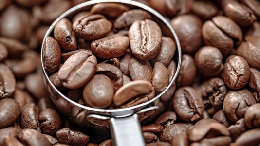 破土而出的绿芽摄影照片_近距离的咖啡种子芳香的咖啡豆是由咖啡豆烘焙而出的烟雾。