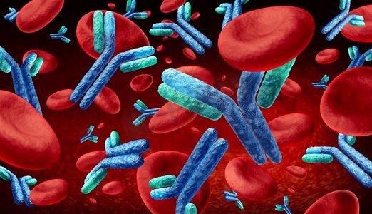 血液中的抗体和免疫球蛋白的概念作为抗体在人体内流动作为一个3D插图。