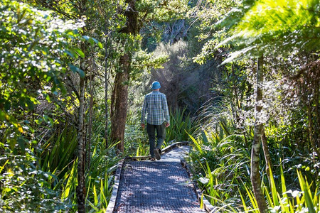 在新西兰徒步旅行和徒步旅行。旅行和探险概念