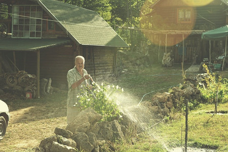 高级园丁在日落时用橡胶软管给植物浇水