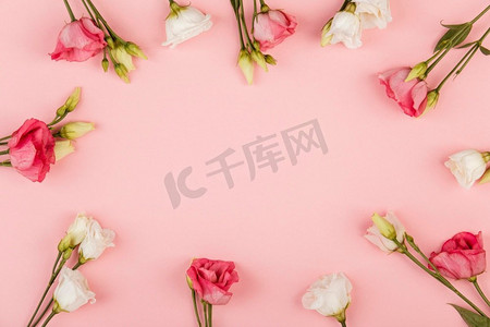 玫瑰花组合摄影照片_顶视图美丽的玫瑰花安排与复制空间