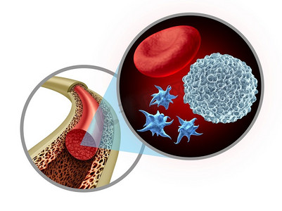 骨髓造血摄影照片_ 血液、细胞、血小板、血浆