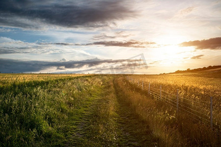 农业英国农村美丽的风景图象在温暖的下午晚些时候夏天光