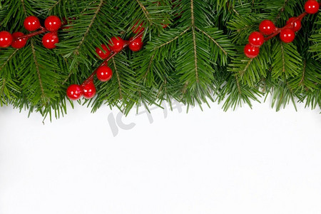 冷杉圣诞树树枝和冬青浆果隔绝在白色背景平躺顶视图模型。冷杉树枝在白色