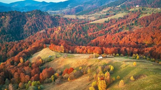 全景森林摄影照片_山脉、秋天、全景、森林