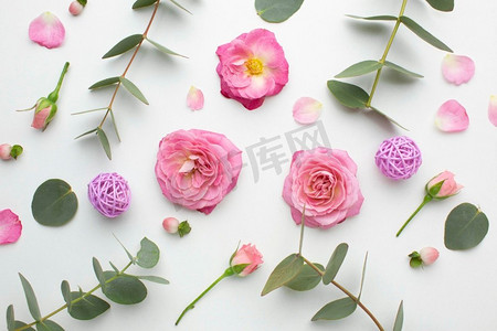 情人玫瑰摄影照片_俯视玫瑰花瓣。高分辨率照片。俯视玫瑰花瓣。高品质的照片