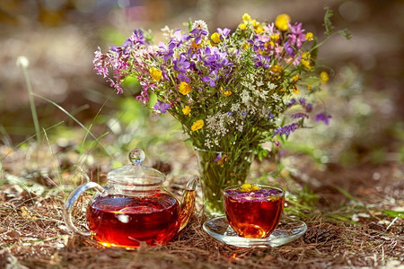 露天茶会。一个杯子和茶壶特写镜头在自然界在森林里。束鲜花