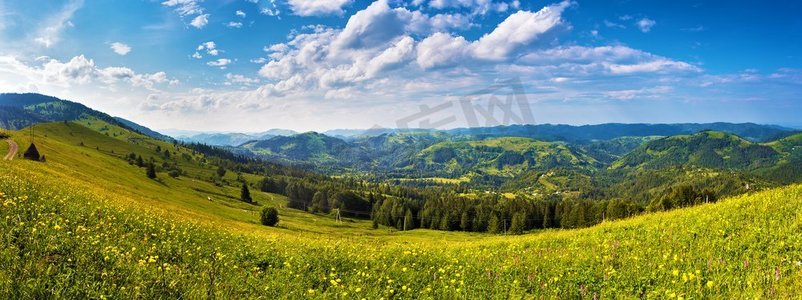 阳光明媚的一天全景山草甸在一个山谷。森林和村庄的背景。欧洲旅行，喀尔巴阡山脉，乌克兰。 