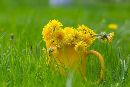 春暖花开的草地上吹口水球。自然的夏日背景。