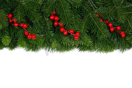 冷杉圣诞树树枝和冬青浆果隔绝在白色背景平躺顶视图模型。冷杉树枝在白色