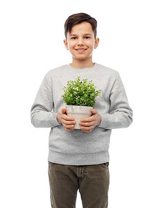 环境，自然和人的概念—愉快的微笑男孩拿着花在锅在白色背景快乐的微笑男孩拿着花在锅里
