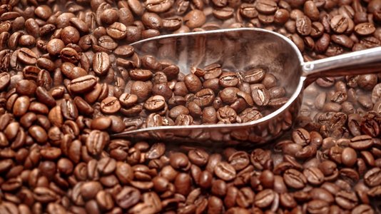 小鸟破壳而出摄影照片_近距离的咖啡种子芳香的咖啡豆是由咖啡豆烘焙而出的烟雾。