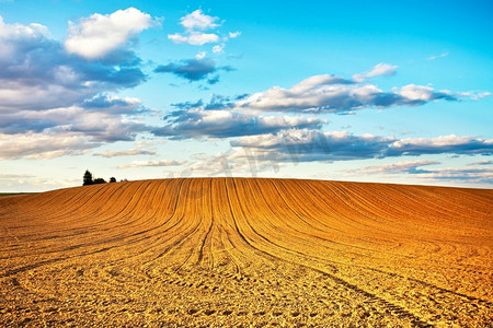 农业景观，机械化种植后可耕地。线性耕作的丘陵农业。白俄罗斯明斯克地区