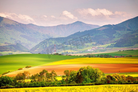 斯洛伐克摄影照片_春天黄色的油菜田和绿色的草地在塔特拉斯山谷。斯洛伐克农村场景。盛开的春天风景。