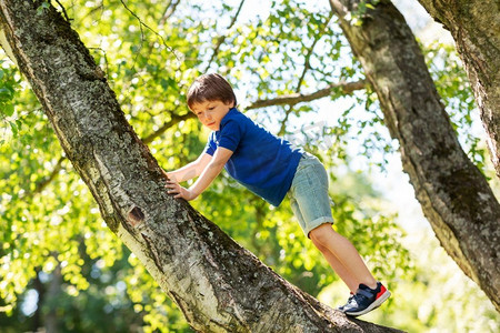 孩子在玩摄影照片_童年，休闲游戏和人的概念—快乐的小男孩爬树在夏季公园。快乐的小男孩爬树在公园