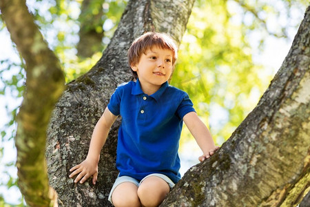 攀岩男孩摄影照片_童年、休闲游戏和人的概念-快乐的小男孩在夏季公园爬树。快乐的小男孩在公园爬树