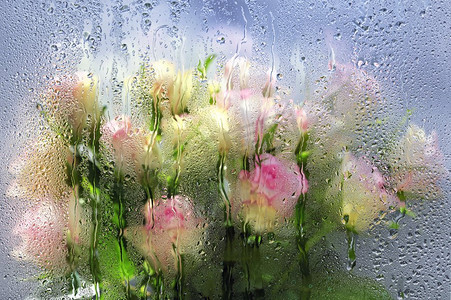 绿色玫瑰花摄影照片_模糊的玫瑰花背后的窗户与水滴