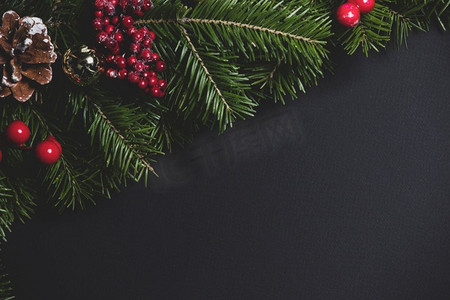 松树圣诞树枝圆锥和红色浆果在黑色纸背景平的躺顶视图模型。松树树枝装饰在黑色的纸