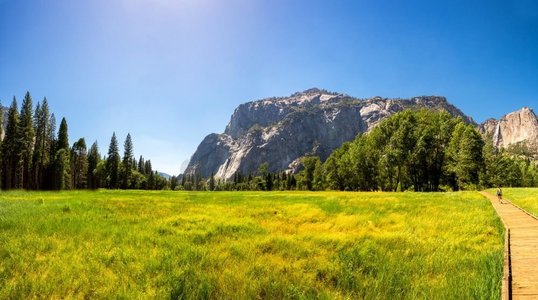 美国加利福尼亚州约塞米蒂国家公园的绿色草地和松树被岩石山脉环绕。被岩石山脉环绕的草地和树木