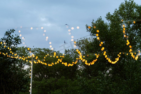 梅节日摄影照片_用花环包裹的大气温暖灯泡装饰节日，