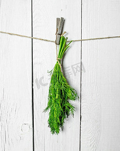 一束新鲜的小茴香挂在绳子上。在白色的木墙上。一束新鲜的小茴香挂在绳子上。