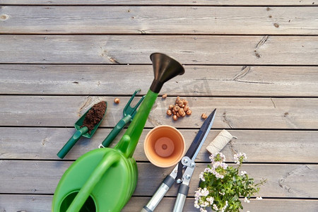 园艺，农业和种植概念—花园工具，花盆和花卉在木露台在夏季。园林工具和花卉在木露台
