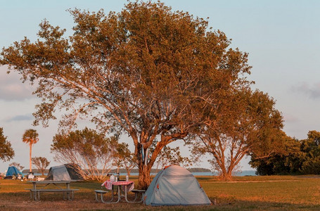 帐篷在露营在绿草甸，佛罗里达州，美国
