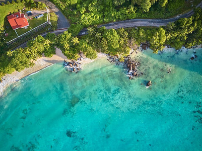 美丽的海滩棕榈树和岩石空中俯视图无人机拍摄塞舌尔，马埃岛