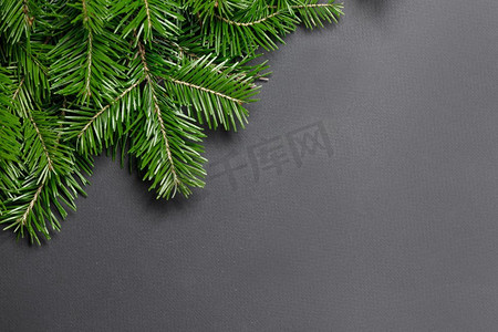 松枝装饰摄影照片_松树圣诞树分支在黑色纸背景平奠定顶视图模型。松枝黑纸