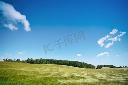 草坪与蓝天摄影照片_农村风景与领域在蓝天下和绿色森林在背景