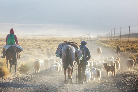 阿根廷巴塔哥尼亚山区的高乔和一群山羊