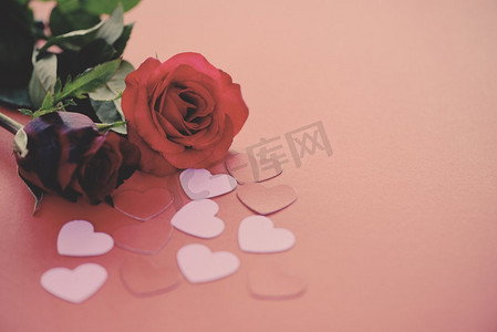 情人节浪漫花朵爱情概念/红玫瑰花和粉色心在红色背景上复制空间色调复古