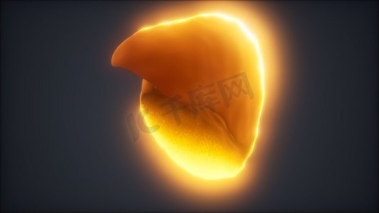 Loop 3D渲染了医学上精确的人体肝脏动画