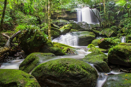 美丽的瀑布与红色绿色苔藓在石流水流在丛林热带森林在Phukradueng Loei泰国