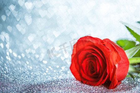 玫瑰在银色发光的散景心脏背景情人节。玫瑰在心脏发光的背景
