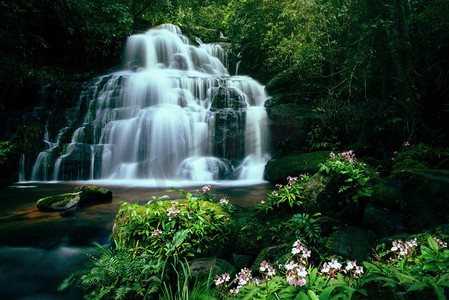 黄果山瀑布摄影照片_开花，开花，瀑布，龙