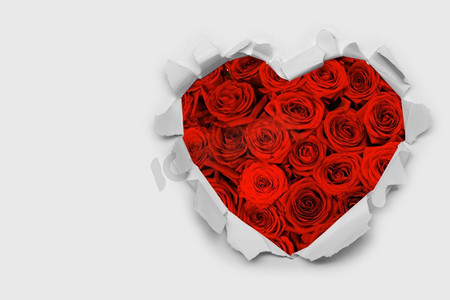 在红色玫瑰与文本、情人节爱概念的复制空间背景的撕裂的白纸心。’撕纸心