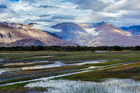 印度拉达克喜马拉雅山脉的努布拉山谷。Nubra valley，拉达克，印度