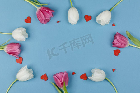 相框由五颜六色的郁金香和红心组成的情人节背景。五颜六色的郁金香镜框