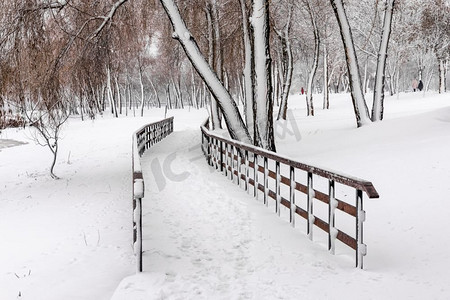 乌克兰基辅的Natalka公园里，被雪覆盖的木制人行桥