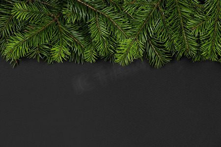 圣诞边框用新鲜的冷杉树枝排列在黑色纸张背景上，复制文本空间。冷杉树枝的圣诞边框