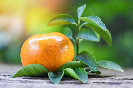 橙色底纹渐变摄影照片_橙色水果和树叶，木质，绿色花园背景，健康水果，新鲜橙色