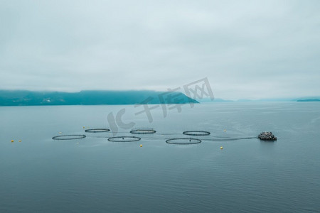 100摄影照片_挪威的农场鲑鱼捕鱼挪威是世界上最大的养殖鲑鱼生产国，每年生产超过100万吨。