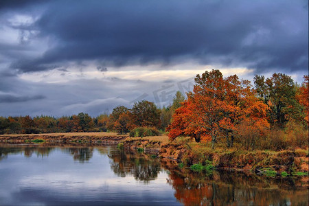 雨叶摄影照片_雨和多云的天空在雾的秋天林地。在河岸的橙色秋天树。金秋风景。森林里五颜六色的树。