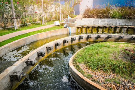 圆形水池摄影照片_美丽的水池在花园中的经典圆形设计为鱼塘与喷泉流的氧气自然 