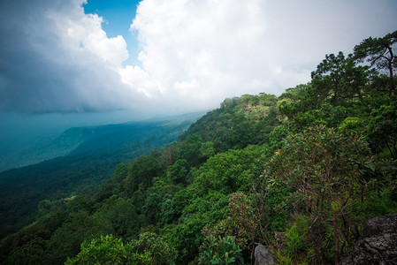 丛林摄影照片_有树的森林丛林在山悬崖风景自然和雨云天空的风暴在雨林亚洲